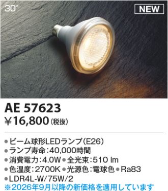 AE57623