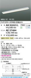 AE57484