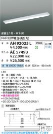 AE57493
