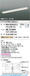 AE57495