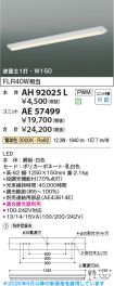 AE57499