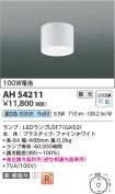 AH54211