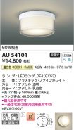 AU54101