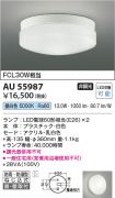 AU55987