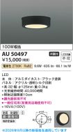 KAU50497