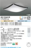 AH55665B