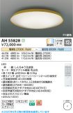AH55828