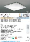 AH55679