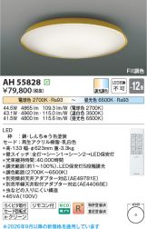 AH55828