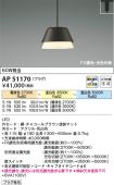 AP51170
