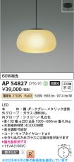 AP54827
