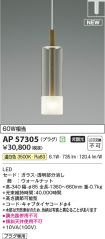 AP57305