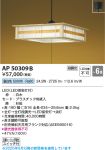 AP50309B
