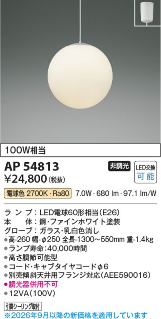 AP54813