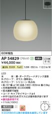 AP54829