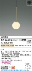 AP54889