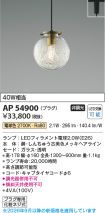 AP54900