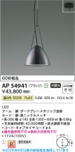 AP54941