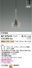 AP57919
