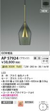 AP57924