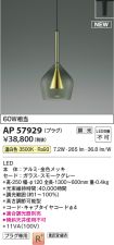 AP57929