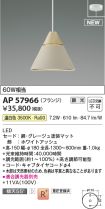 AP57966