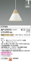 AP57973