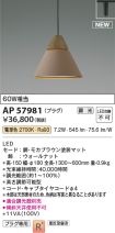 AP57981