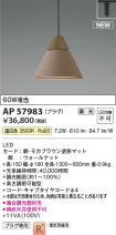 AP57983