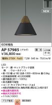 AP57985