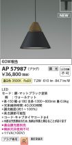 AP57987
