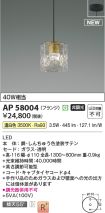 AP58004