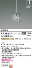 AP58007