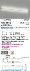 AB54666