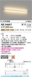 AB54667