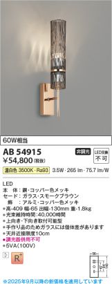 AB54915