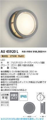 AU45920L