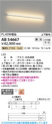AB54667