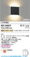 AB54807