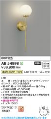 AB54898