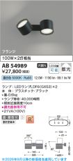 AB54989