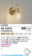 AB55938
