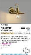 AB55939