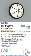 AU38607L