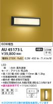 AU45173L