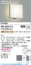 AU45213L