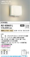 AU45865L