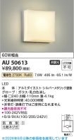 AU50613