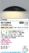 AU52868