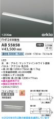 AB55858